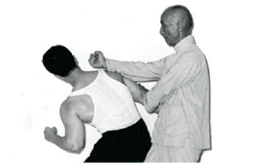 Bí mật: Diệp Vấn không phải là "Độc cô cầu bại"