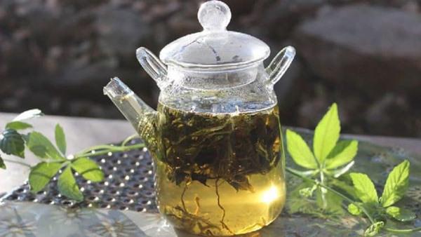 Giảo cổ lam: Tác dụng đối với sức khỏe và cách sử dụng