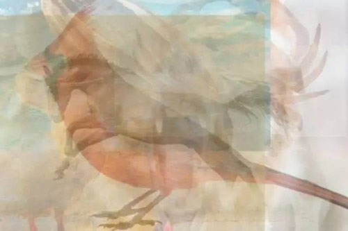 Trắc nghiệm: Con vật đầu tiên nhìn thấy bật mí bạn có năng lực lãnh đạo hay không?