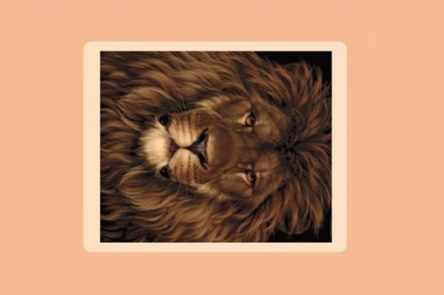 Trắc nghiệm: Tính cách bản năng của bạn như thế nào?