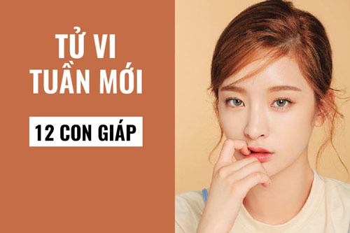 Tử vi tuần mới của 12 con giáp từ ngày 15-21/6/2020: Tuổi Tý dễ gặp may mắn, Thân tình cảm khởi sắc