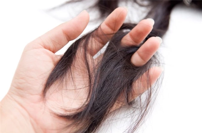 Sử dụng hà thủ ô trị rụng tóc là cách hiệu quả