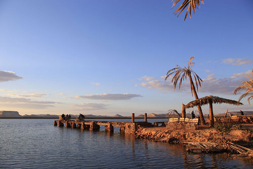 Khám phá vẻ đẹp ốc đảo Siwa - "hòn ngọc xanh" giữa sa mạc Sahara