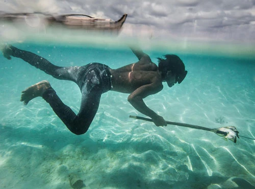 Người Bajau nổi tiếng là những thợ lặn cừ khôi với khả năng nín thở đặc biệt. Họ sinh sống bằng nghề câu cá và các sản vật biển trong nhiều thế kỷ. Người đàn ông trẻ tuổi tên Dino này đang lặn bắt cá và các loại sò ốc ở ngoài khơi đảo Mantabuan, Malaysia.