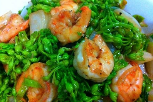 Lợi ích tuyệt vời của hoa thiên lý, ít ai biết đến