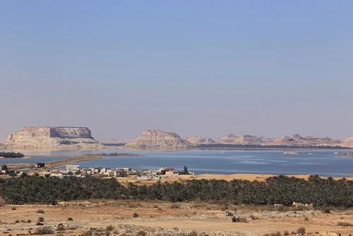 Ốc đảo được hình thành nhờ nguồn nước dồi dào của hồ Siwa, bao quanh cả ốc đảo, tạo nên hệ sinh thái đa dạng ngay giữa lòng sa mạc Sahara.