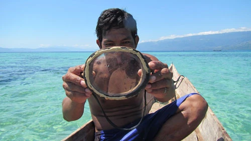 Vì bơi lặn tự do từ rất lâu nên lá lách của người Bajau cũng lớn hơn người bình thường. Mỗi ngày, những người làm công việc săn bắt dành hơn 5 giờ dưới nước, bắt được 1-8 kg cá và bạch tuộc. Đặc biệt, họ chỉ đeo kính, mặt nạ bằng gỗ và thắt lưng trọng lượng tự chế.