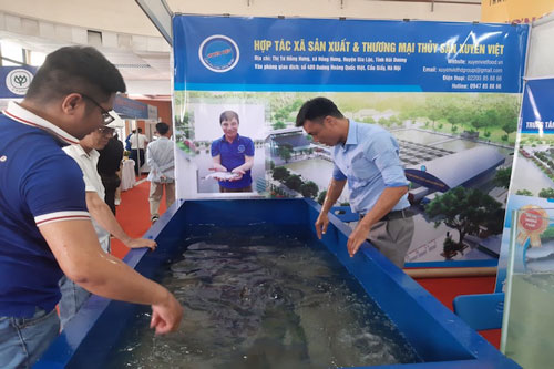 Thủy sản 'trở đi mắc núi, trở lại mắc sông'