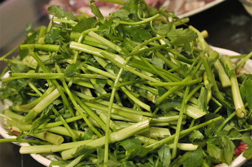 Rau cần: "Thần dược" có thể chữa "bách bệnh" bạn không ngờ tới