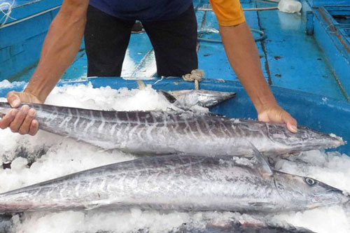 Chồng đi công tác mua quà bảo vợ biếu nhà nội, vợ liền làm "cuộc cách mạng" khiến anh tâm phục, khẩu phục