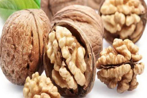 Quả óc chó chữa thận hư, đau lưng mỏi gối