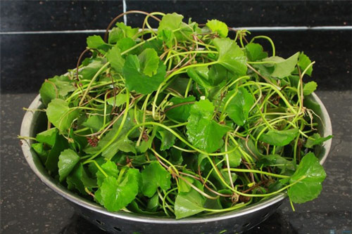 Những thực phẩm là "khắc tinh" của sẹo mụn