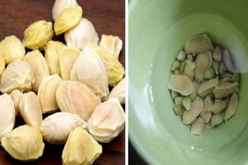 Công dụng làm đẹp da, giảm cân chữa bệnh từ một loại hạt bỏ đi, khiến ai cũng phải bất ngờ