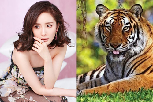 Tử vi thứ Ba ngày 16/6/2020: Những con giáp dễ được quý nhân phù trợ, làm gì tiền cũng đổ về như nước