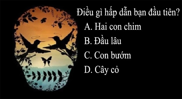 Điều gì trong bức tranh hấp dẫn bạn đầu tiên?