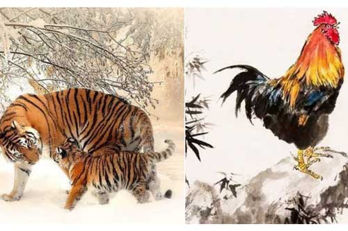 Tử vi 12 con giáp thứ 4 ngày 17/6/2020: Dần được quý nhân phù trợ, Dậu dễ gặp áp lực