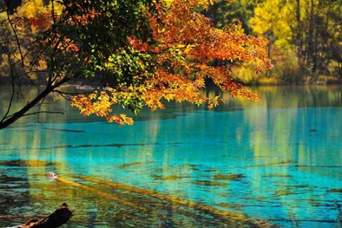 Trắc nghiệm: Mức độ tham lam của bạn mạnh cỡ nào?