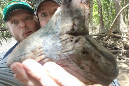 Đào được một bộ phận của "thủy quái" hàng triệu năm tuổi