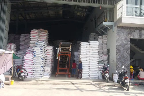Nhiều doanh nghiệp tại tỉnh Tiền Giang đến nay vẫn còn tồn kho lượng lúa gạo Đông Xuân khá lớn