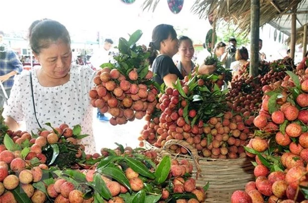 Ha Noi day manh kich cau tieu dung sau dai dich COVID-19 hinh anh 2