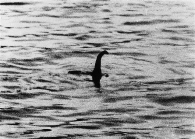 Phải ứng xử thế nào nếu bạn bắt được quái vật hồ Loch Ness? - ảnh 2