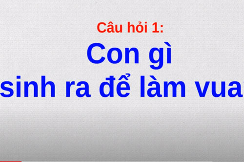 CLIP: 9 câu đố mẹo chỉ những người thông minh mới trả lời đúng