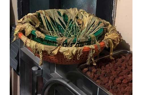 Mẹ chồng nhờ muối dưa, nàng dâu "cầu cứu" dân mạng và cái kết khó đỡ