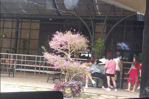 Chi Dân - Lan Ngọc bị bắt gặp cùng đi du lịch Đà Lạt, lần này còn công khai ôm ấp đầy tình tứ