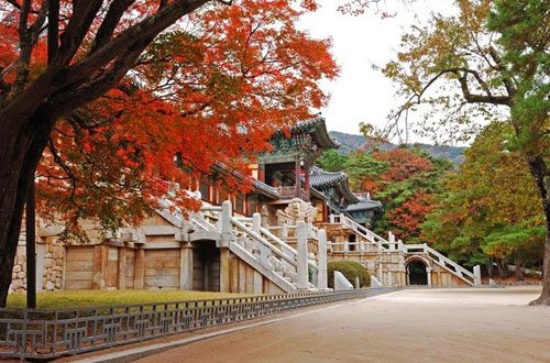 Nhiều hoạt động quảng bá du lịch Hàn Quốc nửa cuối năm 2020