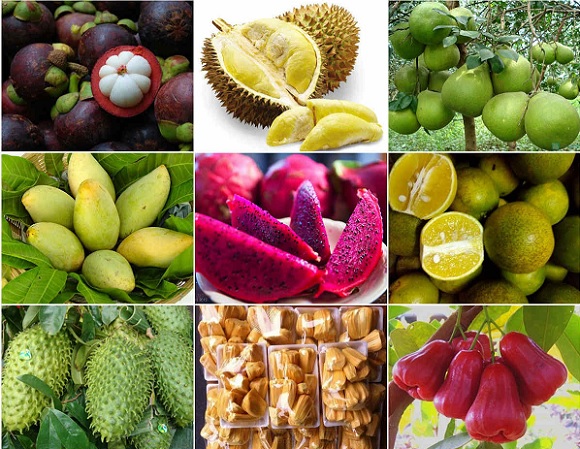 Hỗ trợ DN Việt Nam đẩy mạnh giao thương với thị trường Trùng Khánh (Trung Quốc) 