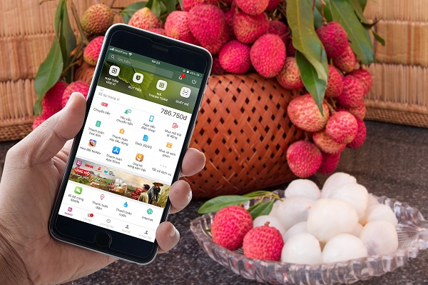 Kỷ lục bán online: 36 tấn vải thiều Lục Ngạn và 1,5 tấn gạo ST Xuân Hồng bán trên ví điện tử MoMo sau 6 ngày