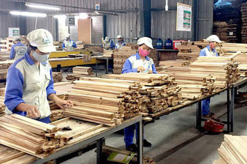 EVFTA không phải là con đường trải đầy "hoa hồng"