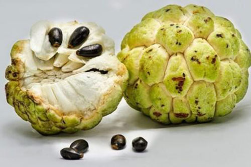 Những loại quả ngon nhưng hạt là thuốc độc, ăn phải gây nguy hiểm tính mạng