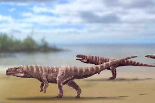 Nhìn hình ảnh này, loài cá sấu cổ đại trông khác khủng long bạo chúa là mấy. Ảnh: News Info Park