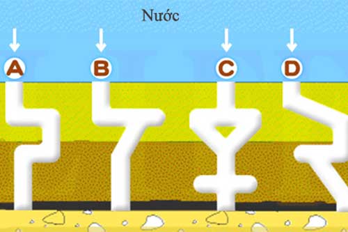 Trắc nghiệm: Bạn là thiên tài nào trong số các thiên tài?