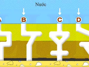 Trắc nghiệm: Bạn là thiên tài nào trong số các thiên tài?