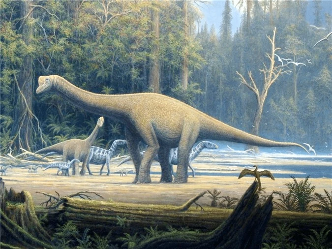 Top 5 điều thú vị mà có thể bạn chưa biết về khủng long Sauropod - Ảnh 2.