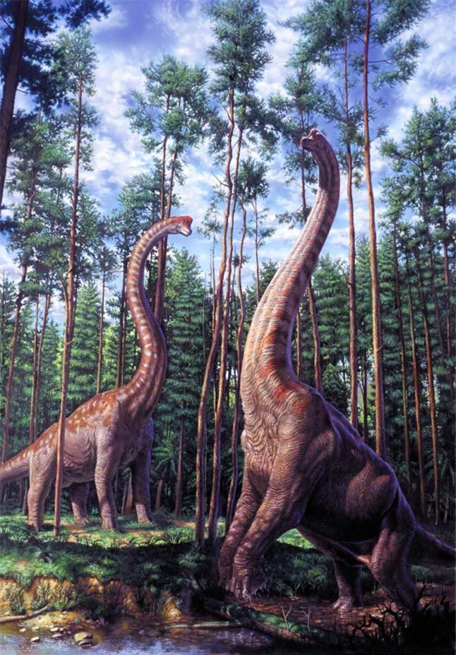 Top 5 điều thú vị mà có thể bạn chưa biết về khủng long Sauropod - Ảnh 3.