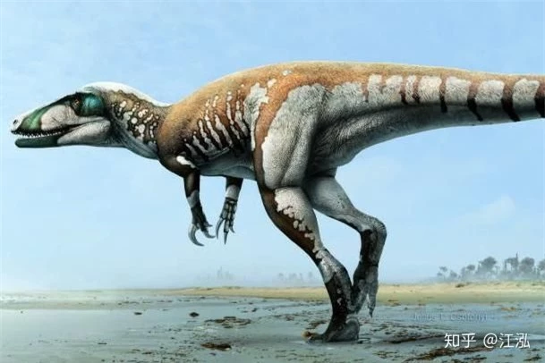 Úc phát hiện ra hóa thạch khủng long biến thành đá quý - Ảnh 15.