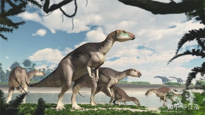 Úc phát hiện ra hóa thạch khủng long biến thành đá quý - Ảnh 16.