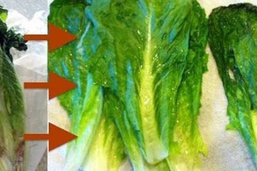 Học người Nhật cách "hô biến" rau củ héo trở nên tươi rói chỉ trong "tích tắc"