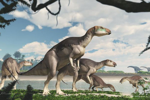 Australia phát hiện ra hóa thạch khủng long biến thành đá quý