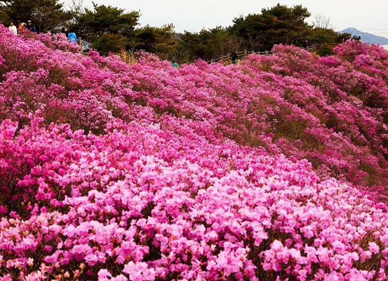 Sự nghiệp của bạn có thể được thăng tiến, làm ăn thuận lợi nếu mơ thấy những điều này