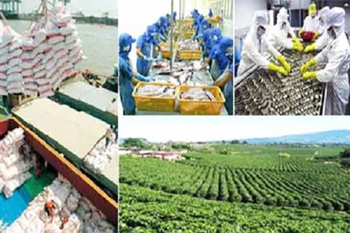 Bộ Nông nghiệp vẫn giữ mục tiêu xuất khẩu trên 41 tỷ USD (Ảnh Internet)