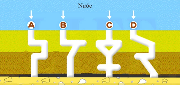 Theo trực giác, bạn cho rằng nước sẽ chảy nhanh nhất ở ống nào trong 4 ống dưới đây?