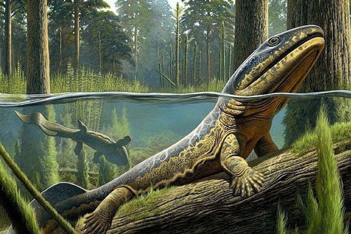 Cá cổ đại tiết lộ bí ẩn về nguồn gốc của ngón tay con người