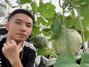 Khu vườn trĩu trái trên sân thượng của ca sĩ Phạm Trưởng