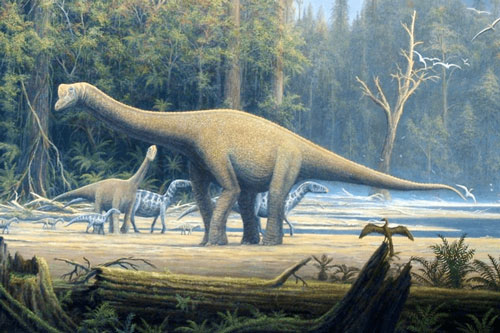 Top 5 sự thật thú vị mà có thể bạn chưa biết về khủng long chân thằn lằn