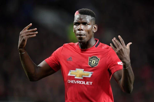 Tiền vệ: Paul Pogba (M.U).