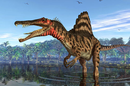 Top 5 điều thú vị xoay quanh Spinosaurus: Kẻ săn mồi đáng sợ 'ngang cơ' với T-REX